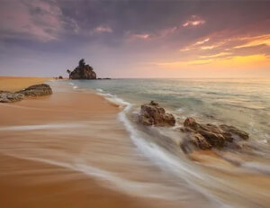 茶香四溢，长沙茶馆的自斟奇遇