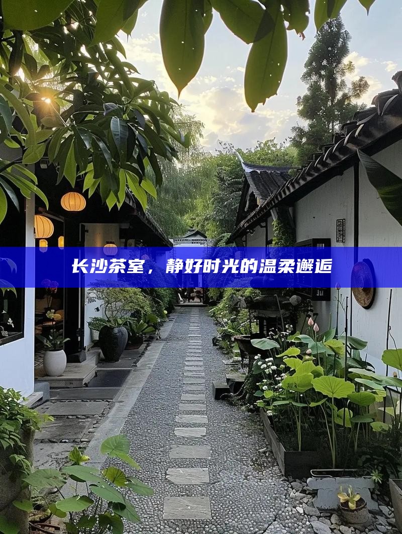 长沙茶室，静谧时光中的温柔邂逅